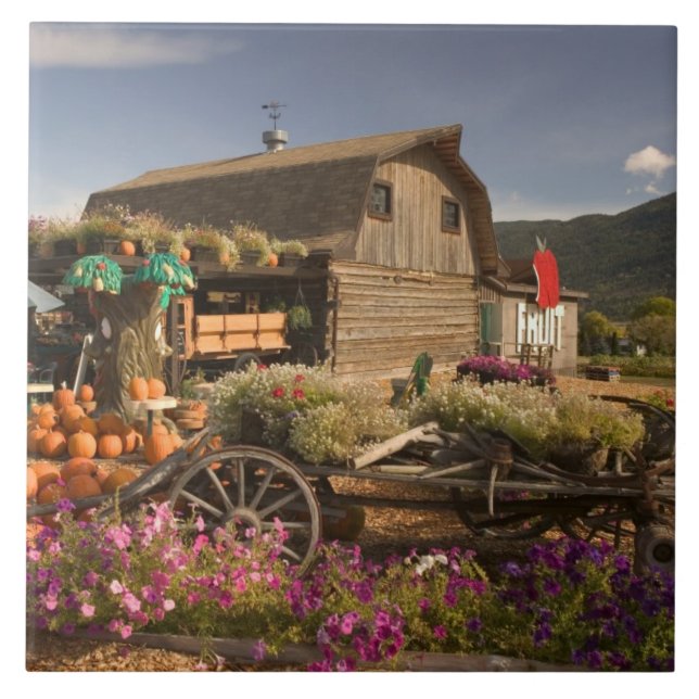 KANADA, British Columbia, Enderby. Stockhus Kakelplatta (Framsidan)