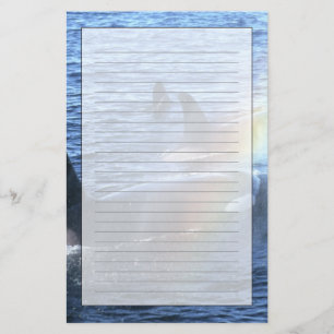 Kanada, British Columbia, Johnstone Straight, Brevpapper