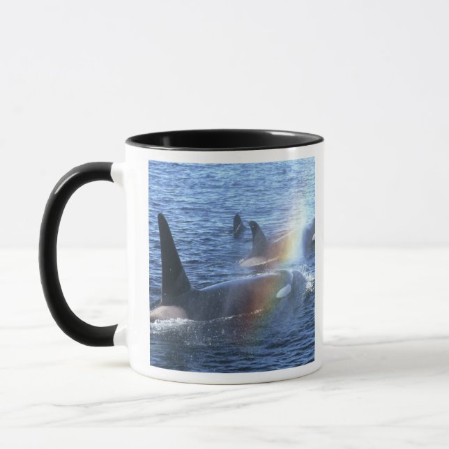 Kanada, British Columbia, Johnstone Straight, Mugg (Vänster)