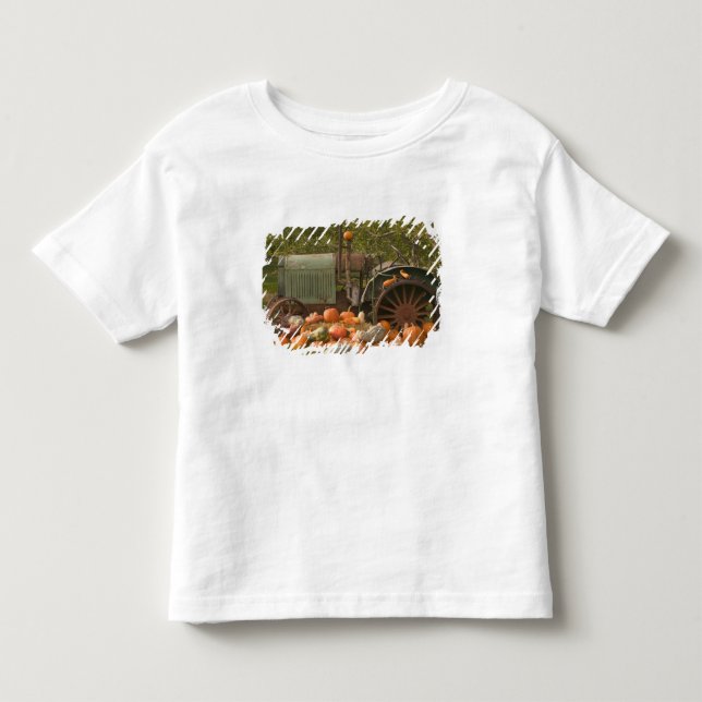KANADA, British Columbia, Keremeos. Höst / 2 T-shirt (Framsida)