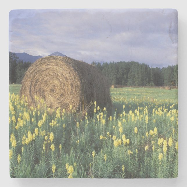 Kanada, British Columbia, Kitwanga. Gul Stenunderlägg (Framsidan)