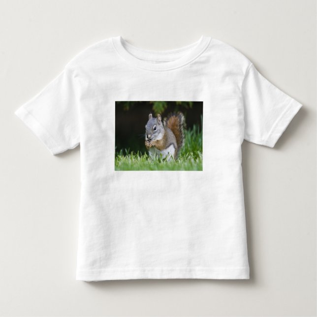 Kanada, British Columbia, Red Squirrel Gräs Tee Shirt (Framsida)