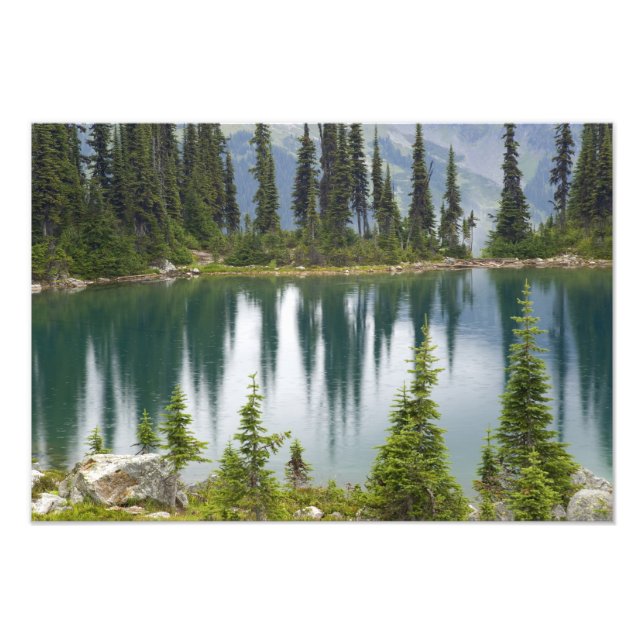 Kanada, British Columbia, Revelstoke National Fototryck (Framsidan)
