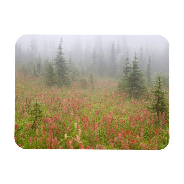 Kanada, British Columbia, Revelstoke National Magnet (Horisontell)