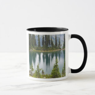 Kanada, British Columbia, Revelstoke National Mugg