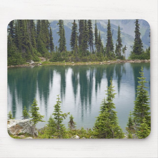 Kanada, British Columbia, Revelstoke National Musmatta (Framsidan)