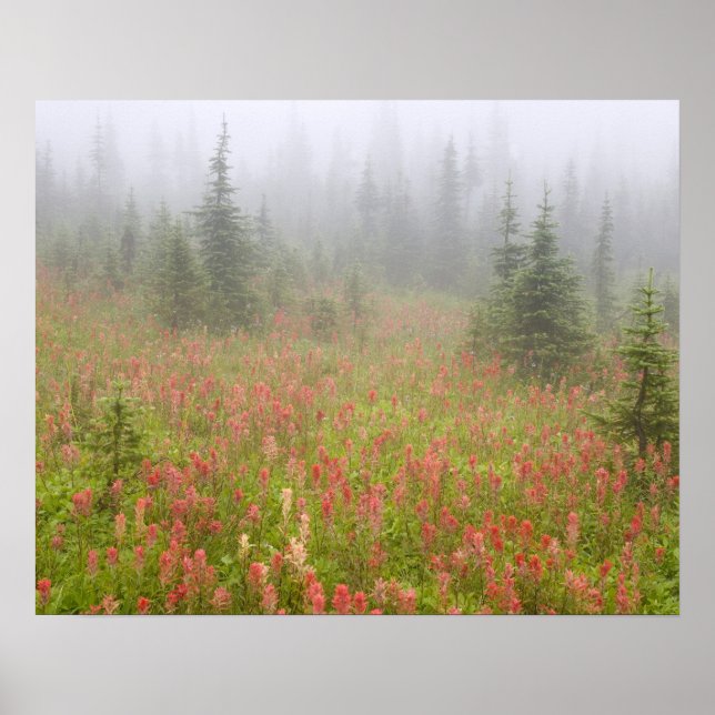 Kanada, British Columbia, Revelstoke National Poster (Framsidan)