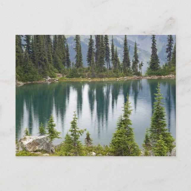 Kanada, British Columbia, Revelstoke National Vykort (Framsida)