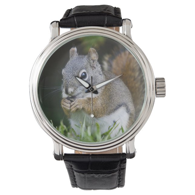 Kanada, British Columbia, Röd Ekorre Tall Armbandsur (Framsida)