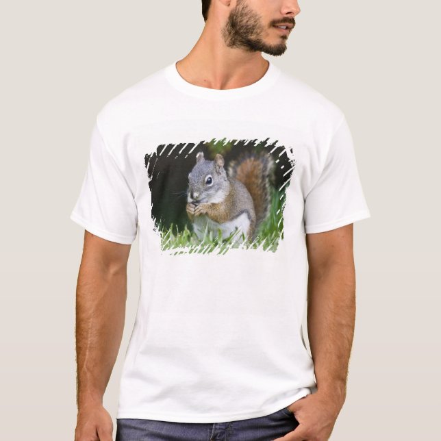 Kanada, British Columbia, Röd Ekorre Tall Tee (Framsida)