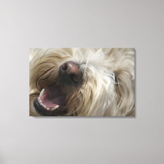 Kanada, British Columbia, Vancouver Canvastryck (Framsida)