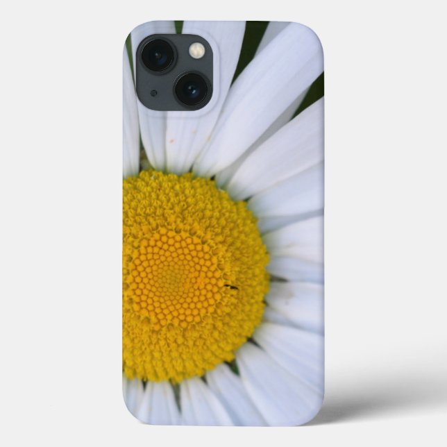 Kanada, British Columbia, Vancouver Island 8 (Baksida)