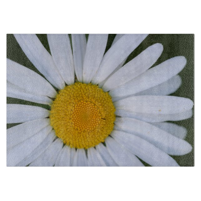 Kanada, British Columbia, Vancouver Island 8 (Framsidan)