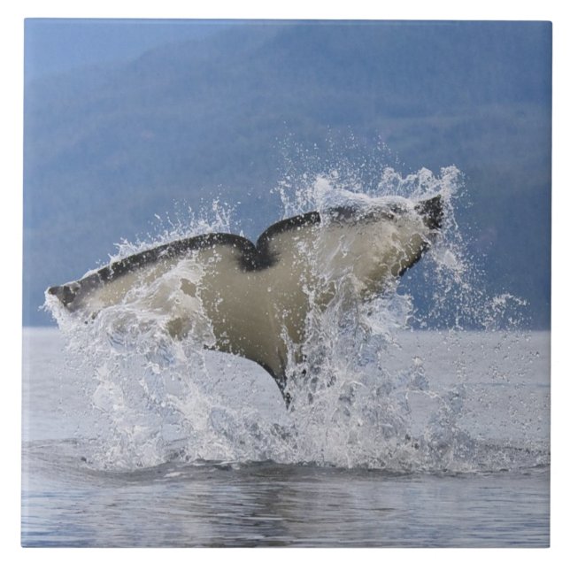 Kanada, British Columbia, Vancouver Island Kakelplatta (Framsidan)