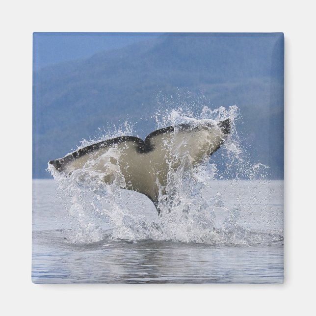 Kanada, British Columbia, Vancouver Island Magnet (Framsidan)