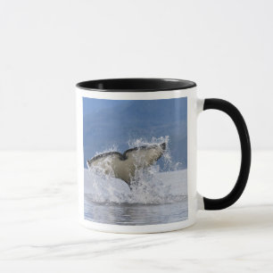 Kanada, British Columbia, Vancouver Island, Mugg