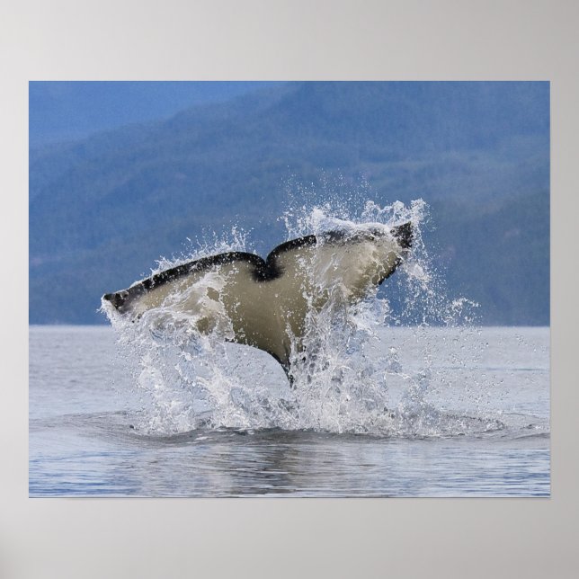 Kanada, British Columbia, Vancouver Island Poster (Framsidan)