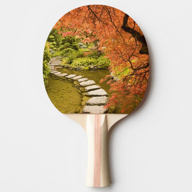 KANADA, British Columbia, Victoria. Höst Pingisracket (Framsidan)