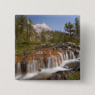 Kanada, British Columbia, Yoho nationalpark. 2 Knapp