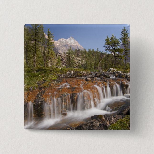 Kanada, British Columbia, Yoho nationalpark. 2 Knapp (Framsida)