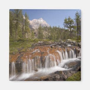 Kanada, British Columbia, Yoho nationalpark. 2 Magnet
