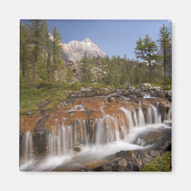 Kanada, British Columbia, Yoho nationalpark. 2 Magnet (Framsidan)