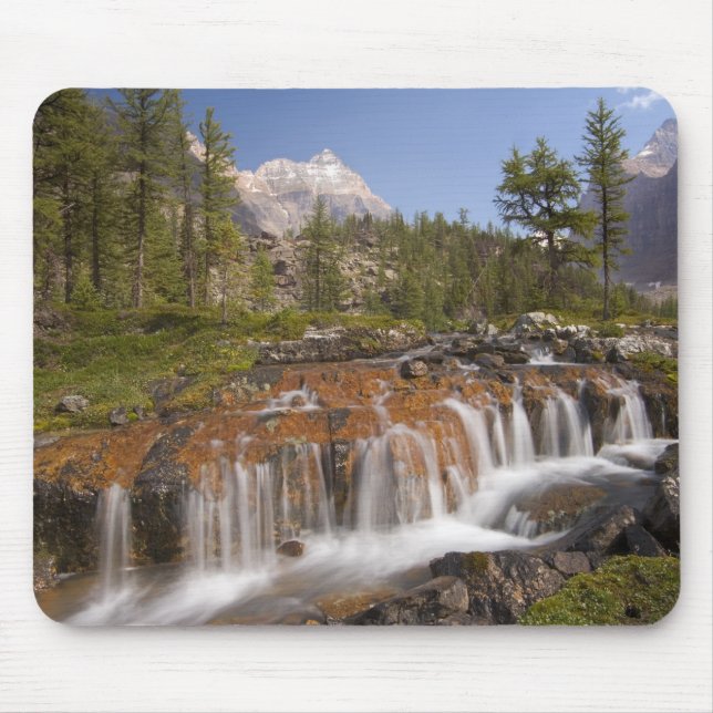 Kanada, British Columbia, Yoho nationalpark. 2 Musmatta (Framsidan)