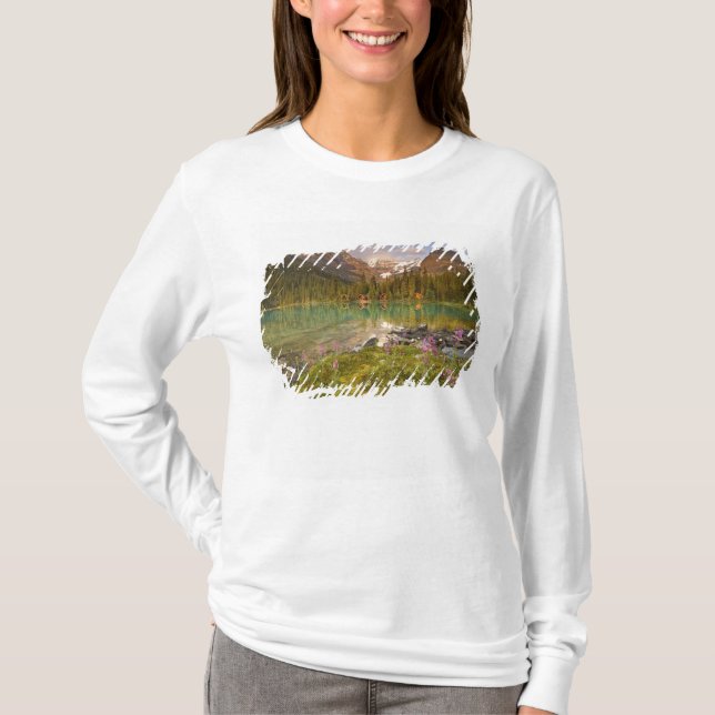 Kanada, British Columbia, Yoho nationalpark. 2 Tee (Framsida)