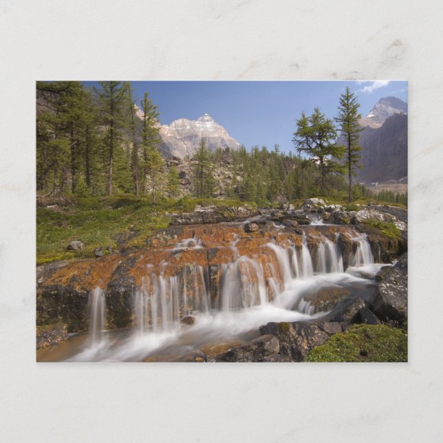 Kanada, British Columbia, Yoho nationalpark. 2 Vykort (Framsida)