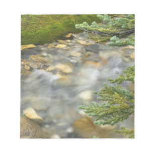 Kanada, British Columbia, Yoho nationalpark. 4 Anteckningsblock