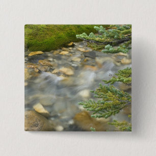 Kanada, British Columbia, Yoho nationalpark. 4 Knapp