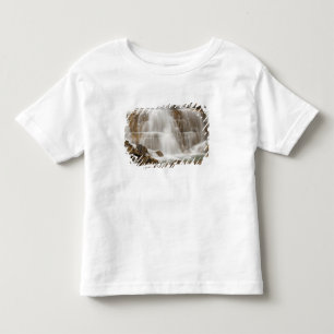 Kanada, British Columbia, Yoho nationalpark. T Shirt