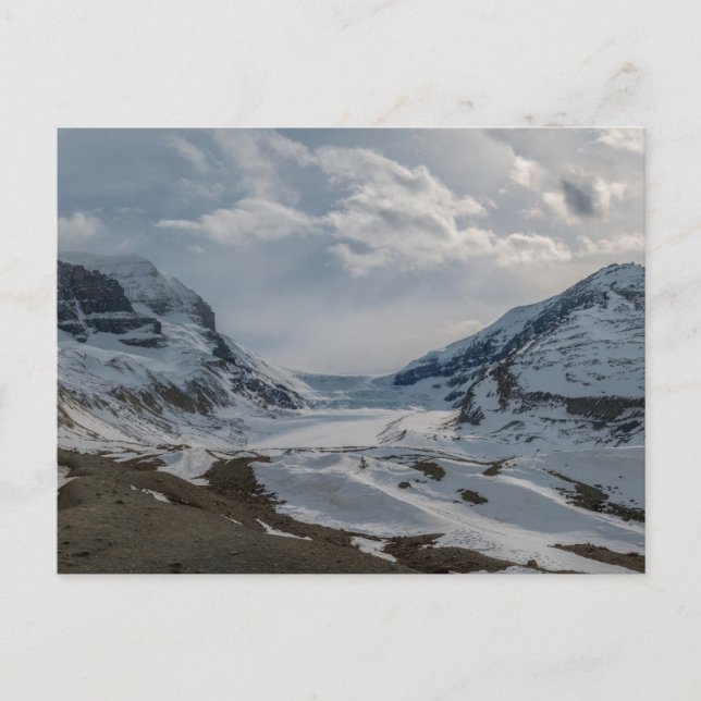Kanada Columbia Icefield Panorama Vykort (Framsida)