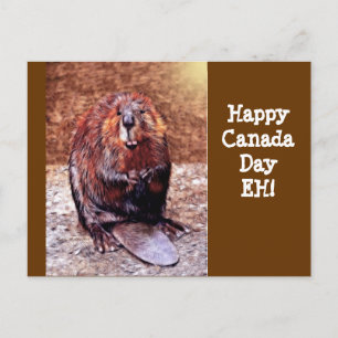 Kanada Day Beaver Vykort