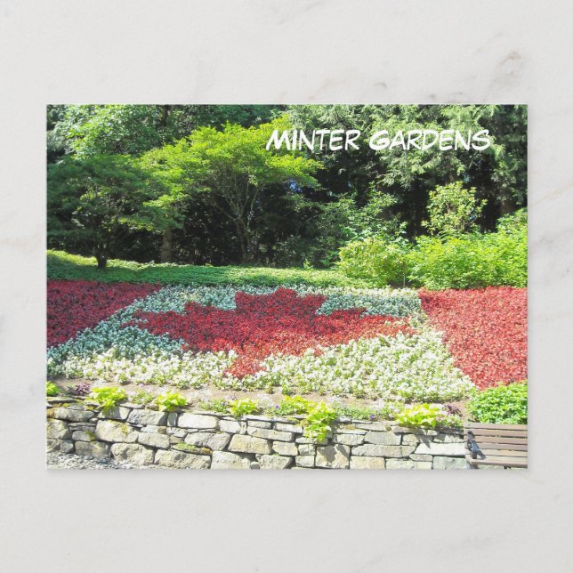 Kanada Flagga of Flowers Vykort (Framsida)