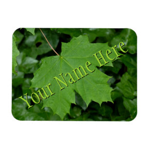 Kanada Fridge Magnet Summer Canada Souvenir Magnet
