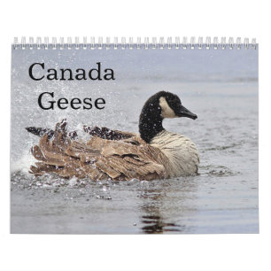 Kanada gäss kalender