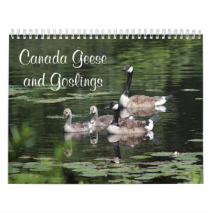 Kanada gäss och Goslings Kalender