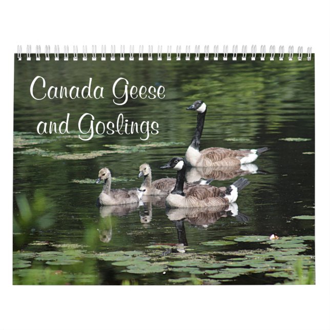 Kanada gäss och Goslings Kalender (Omslag)