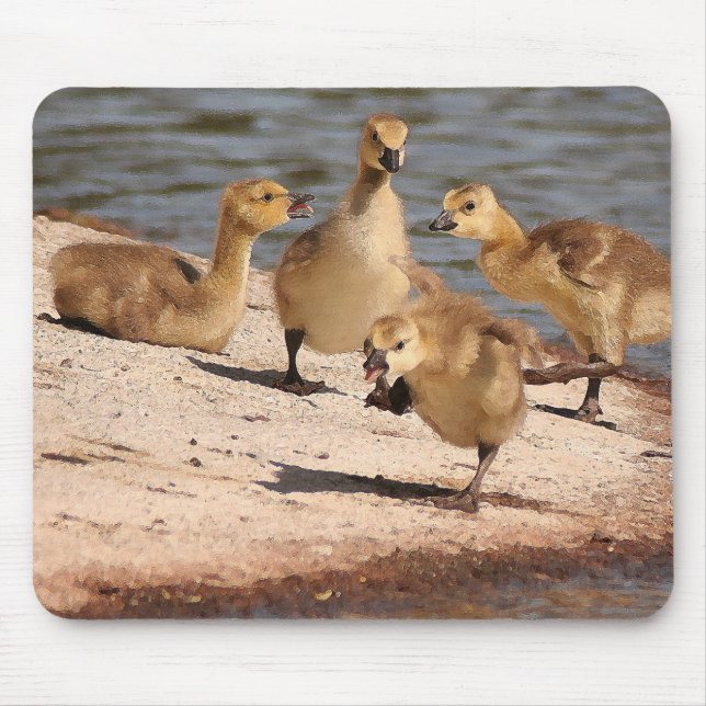 Kanada gässGoslings Mousepad Musmatta (Framsidan)