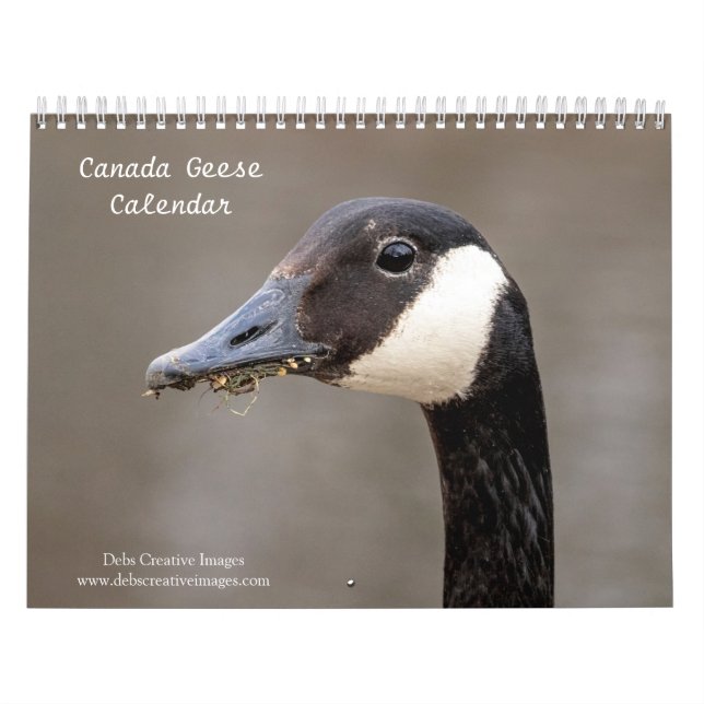 Kanada Geese 2026 Kalender (Omslag)
