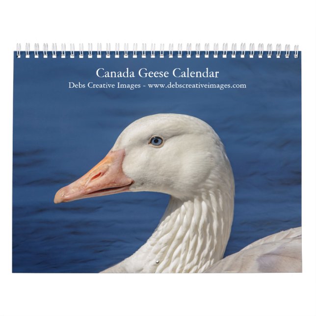 Kanada Geese 2026 Kalender (Omslag)