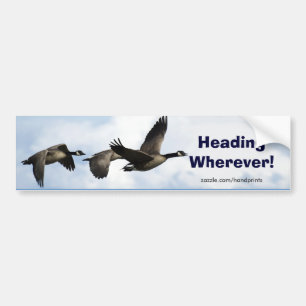 Kanada Geese Art Sticker Bildekal