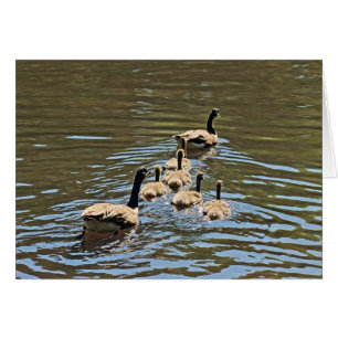 Kanada Geese med Goslings Hälsningskort