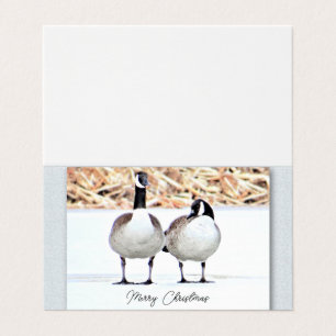 Kanada Geese Two - Blank Kort
