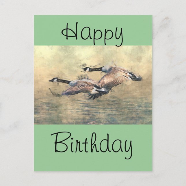 Kanada Geese Vykort (Framsida)