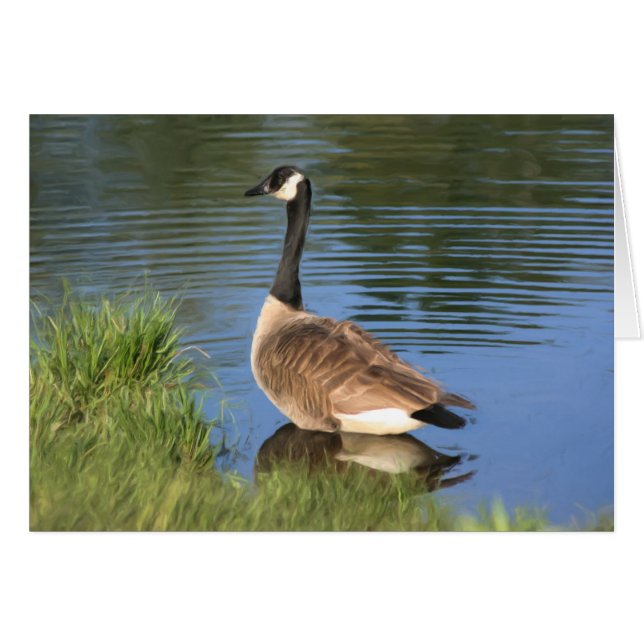 Kanada Goose Animal Art Card OBS Kort (Framsidan Horizontal)