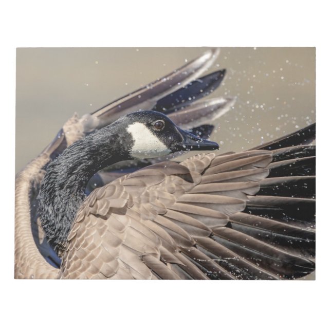 Kanada Goose Anteckningsblock (Framsida)