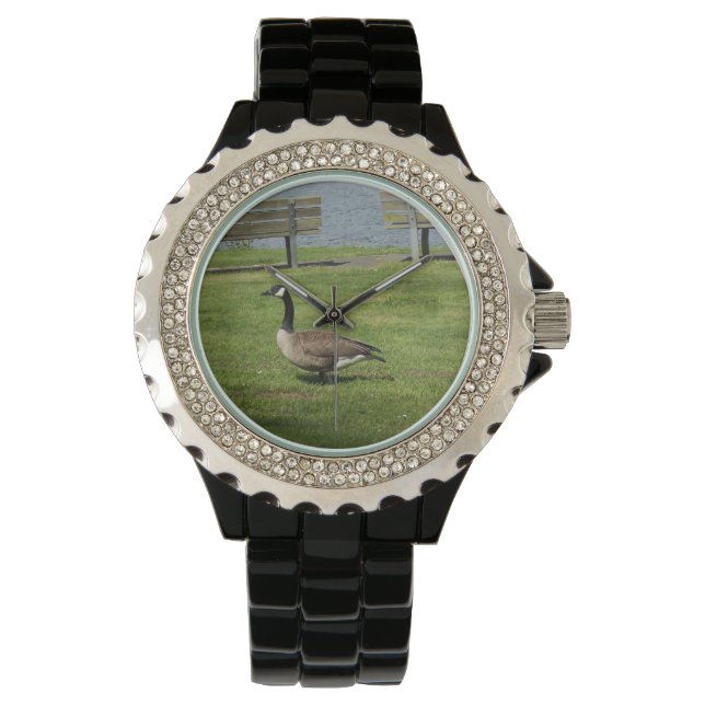 Kanada Goose Armbandsur (Framsida)