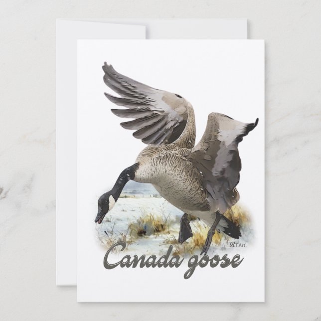 Kanada Goose, Art Inbjudningar (Framsida)